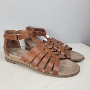 Denver Hayes Quad Comfort Brown Gladiator Sandals